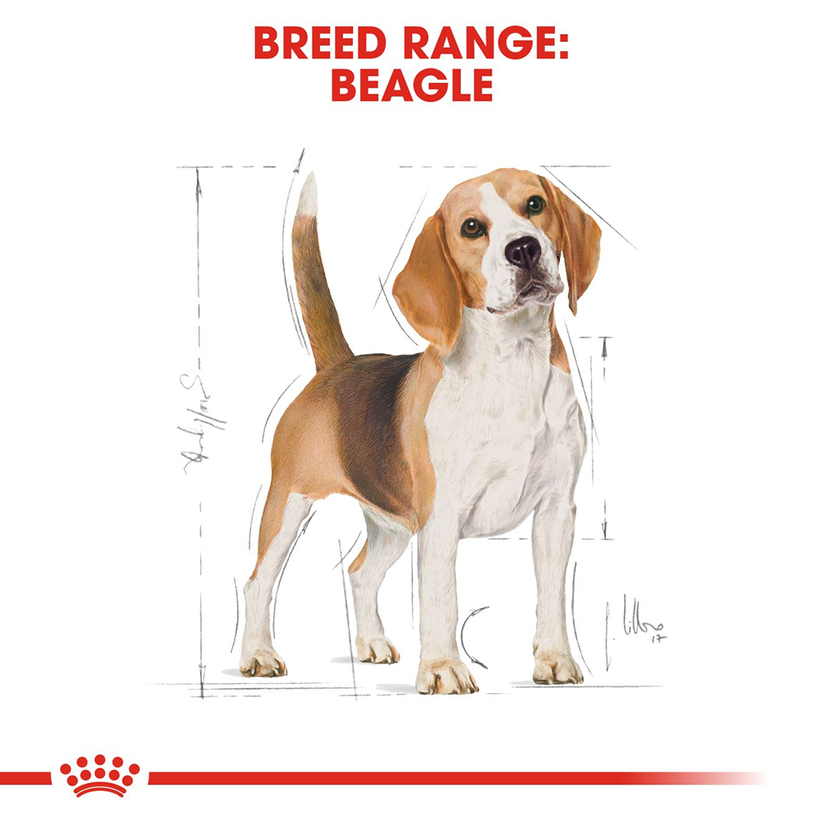 Royal Canin Beagle Adult Dry Dog Food