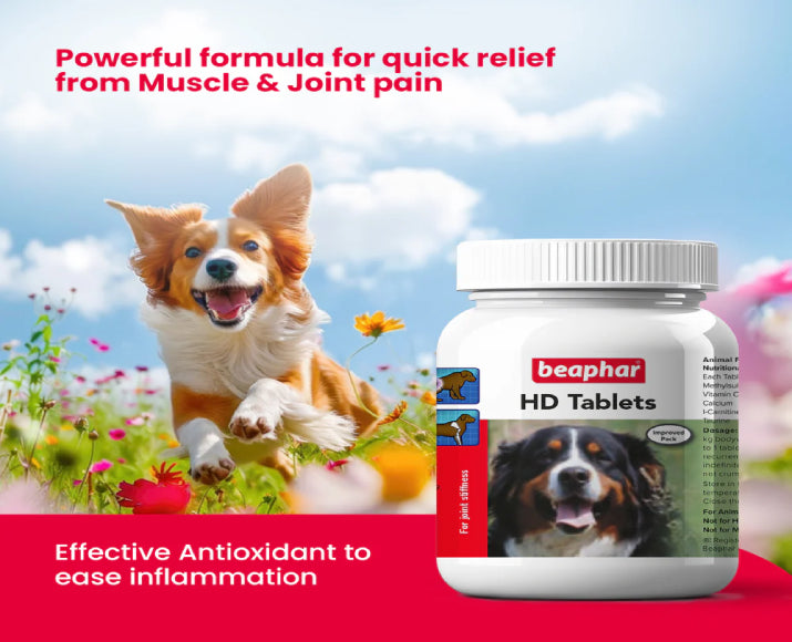 Beaphar HD Tablets for Dogs