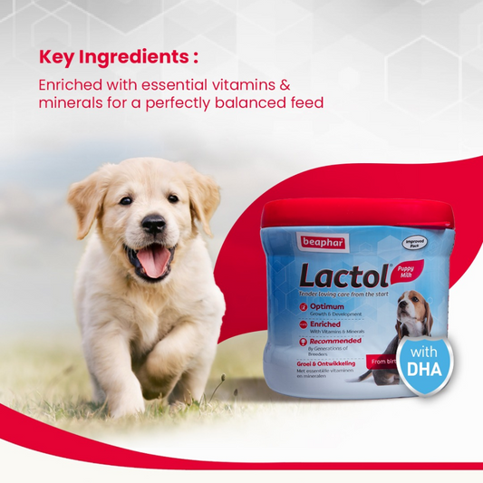 Beaphar Lactol Milk Replacer Powder for Puppies