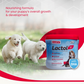 Beaphar Lactol Milk Replacer Powder for Puppies