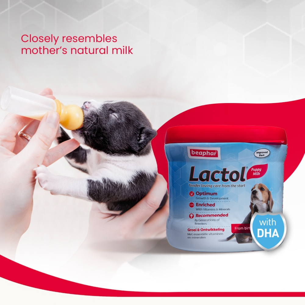 Beaphar Lactol Milk Replacer Powder for Puppies