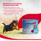 Beaphar Lactol Milk Replacer Powder for Puppies