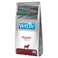 Farmina Vet Life Hepatic Canine Formula Adult Dog Dry Food