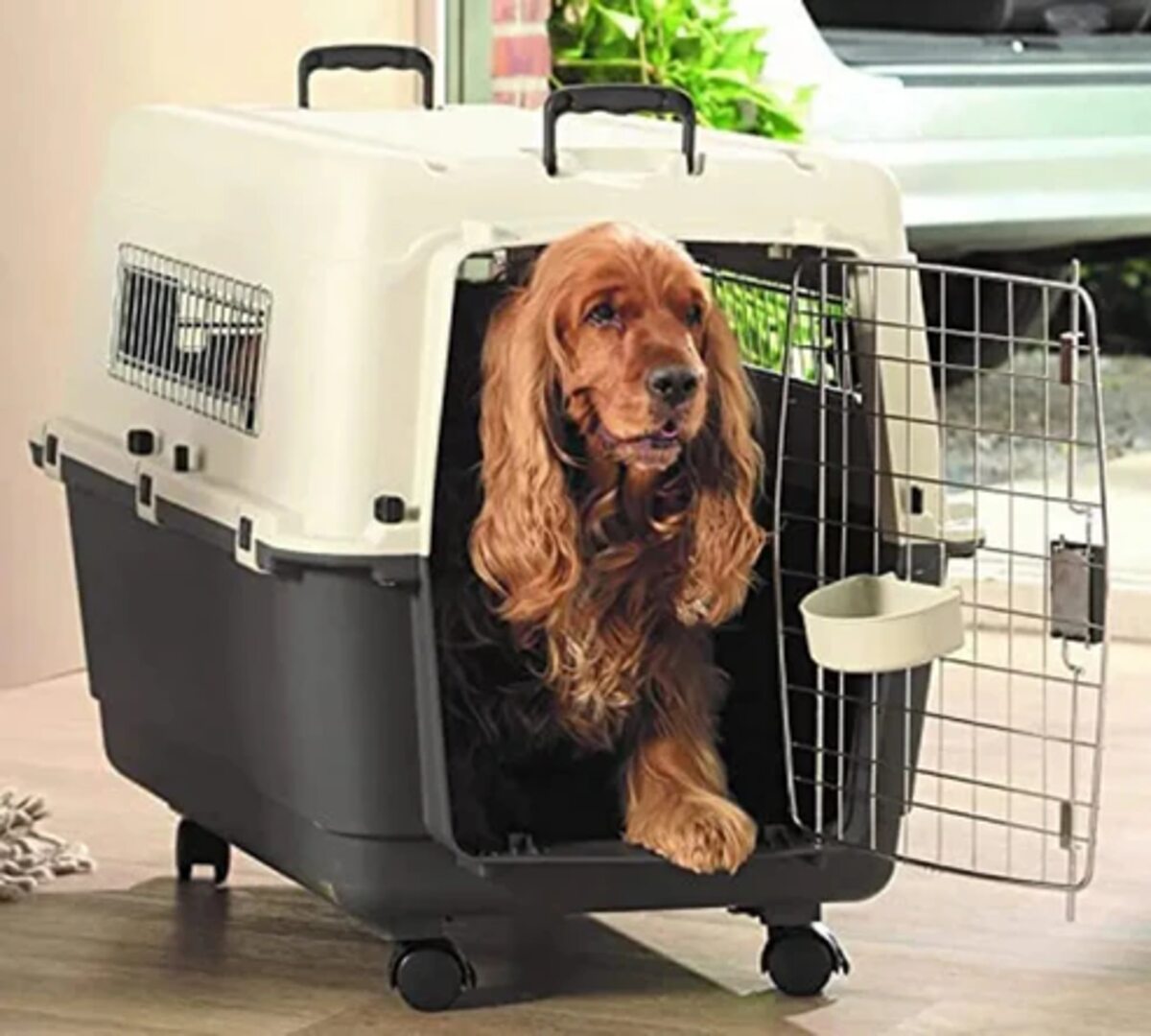IATA Approved Airline Dog Crate 48 Inch For Large Dogs