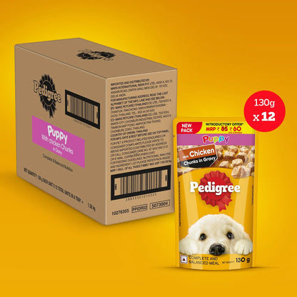 Pedigree Puppy Wet Dog Food, Chicken Chunks in Gravy, Dog Wet Food (130g)