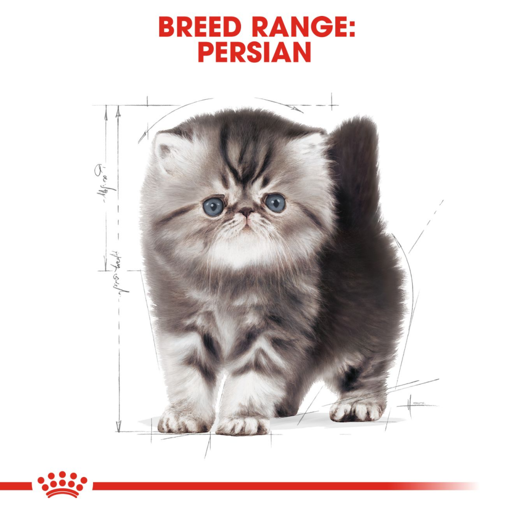 Royal Canin Persian Kitten Dry Cat Food