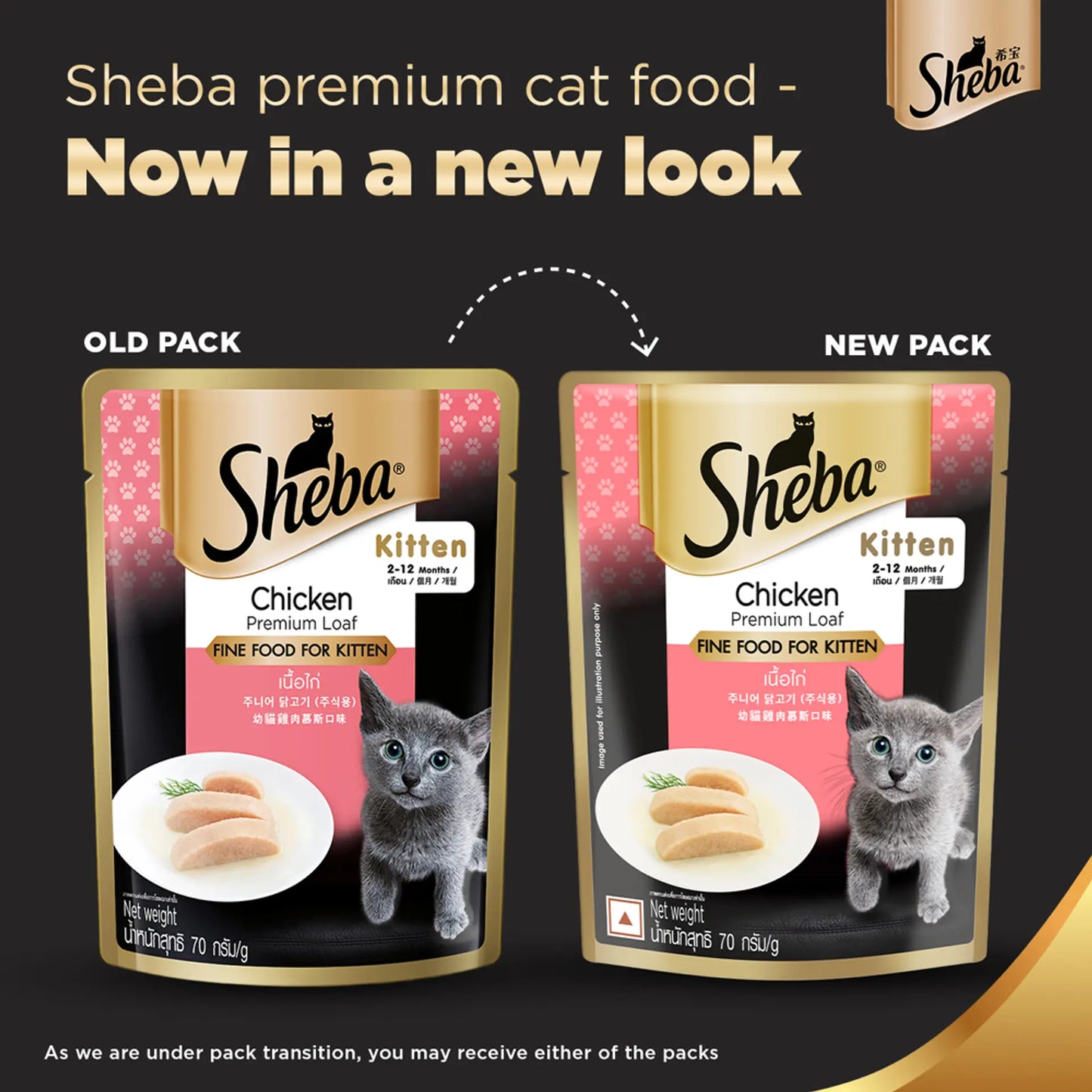 Sheba Chicken Premium Loaf Kitten Wet Food in Gravy 70 Gm