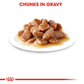 Royal Canin Instinctive Chunks in Gravy Adult Cat Wet Food