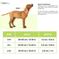 Trixie Premium Adjustable Collar for Dogs Size (S-M)