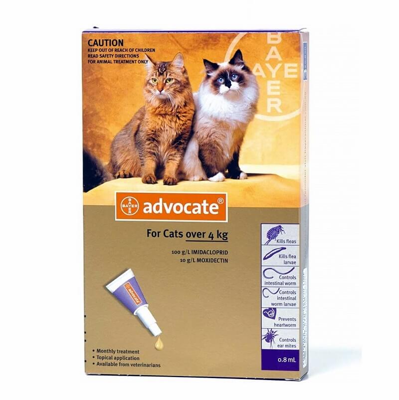 BAYER Advocate Cat Spot On 0.8 Ml
