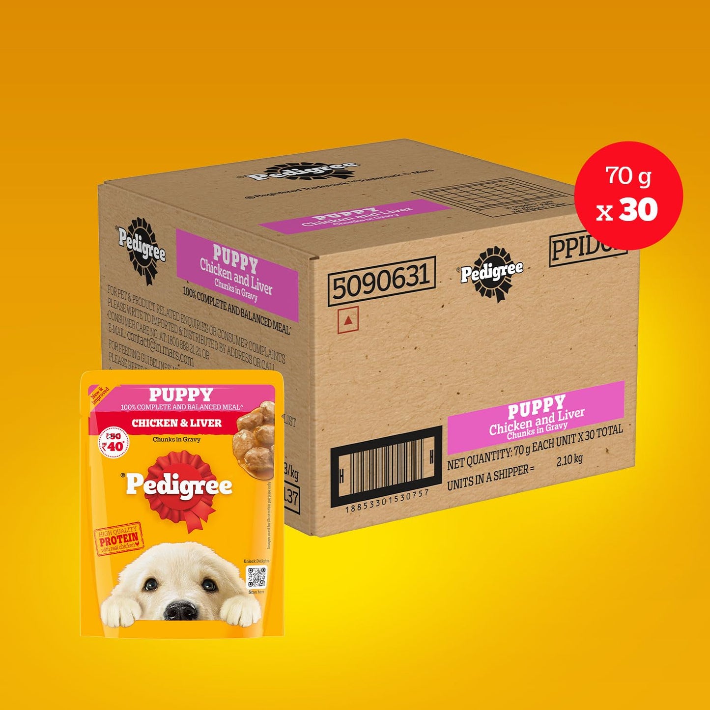 Pedigree Chicken & Liver Chunks in Gravy Puppy Wet Dog Food (70g)