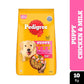 Pedigree Puppy Chicken and Milk Dog Dry Food