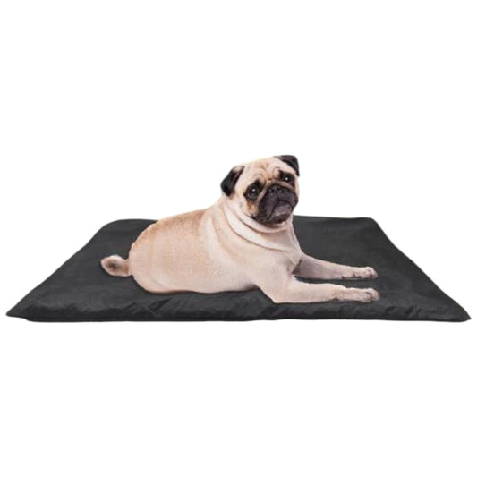Petsworld Eco Flat Dog Bed Size (23 x 34) inch