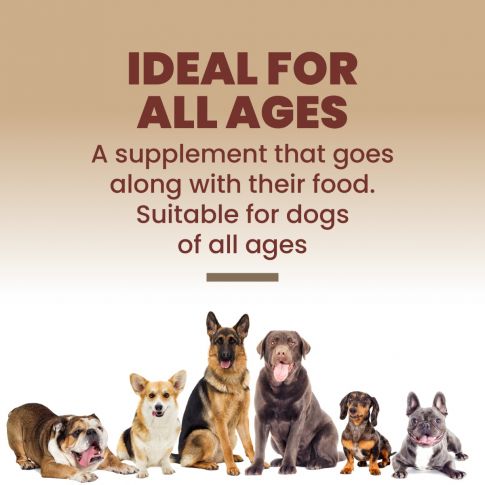 Beaphar Top 10 Multi Vitamin Supplement for Dogs