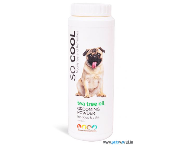 dog grooming powder