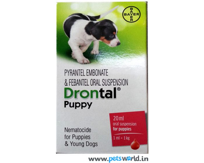 drontal puppy wormer